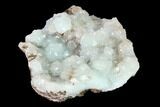 Lustrous Hemimorphite Crystal Cluster - Congo #148457-1